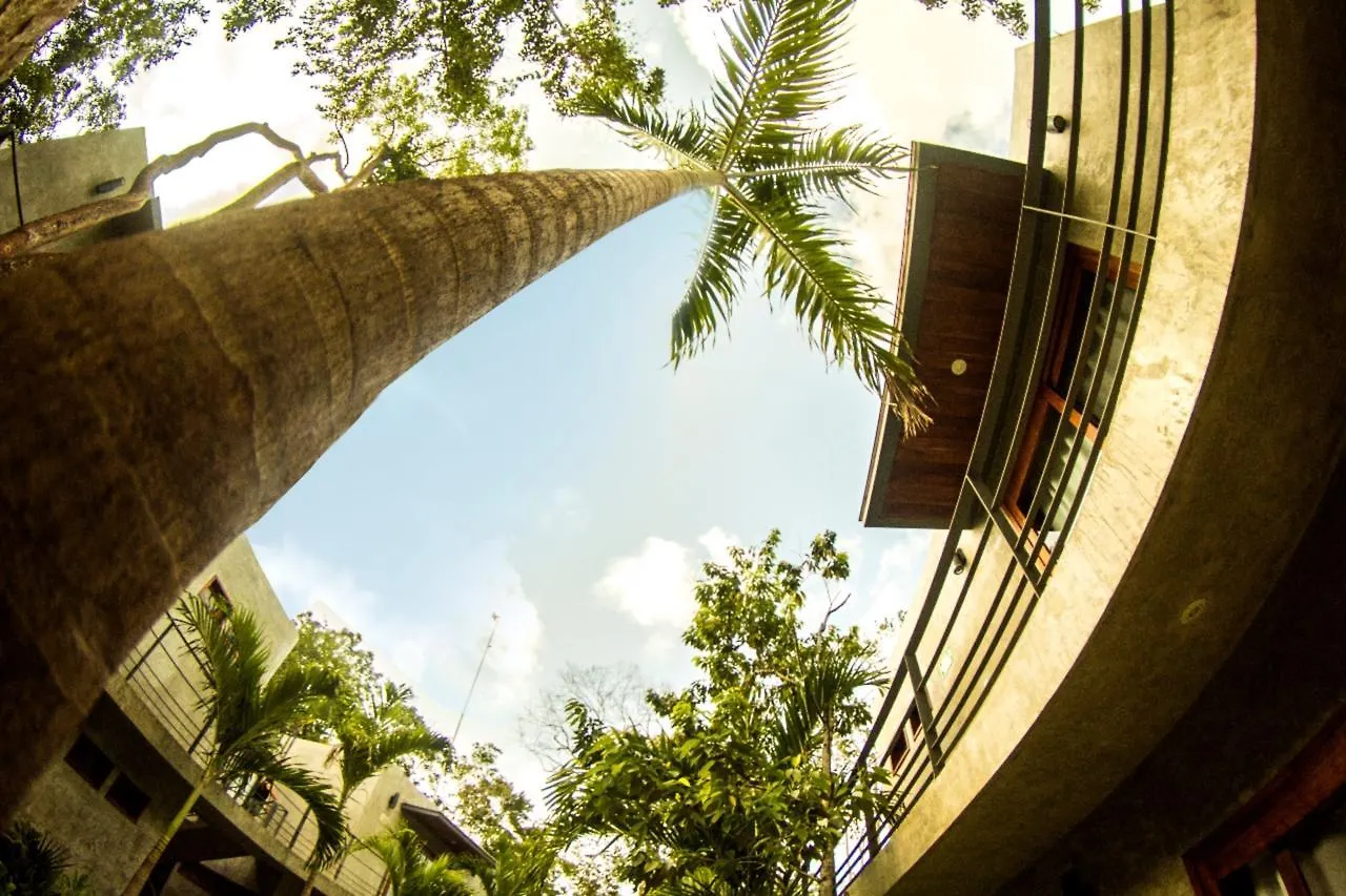 Hotel Solera Tulum With Pool
